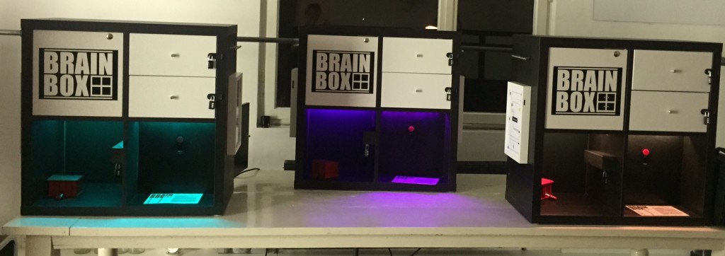 BrainBox Escape Game